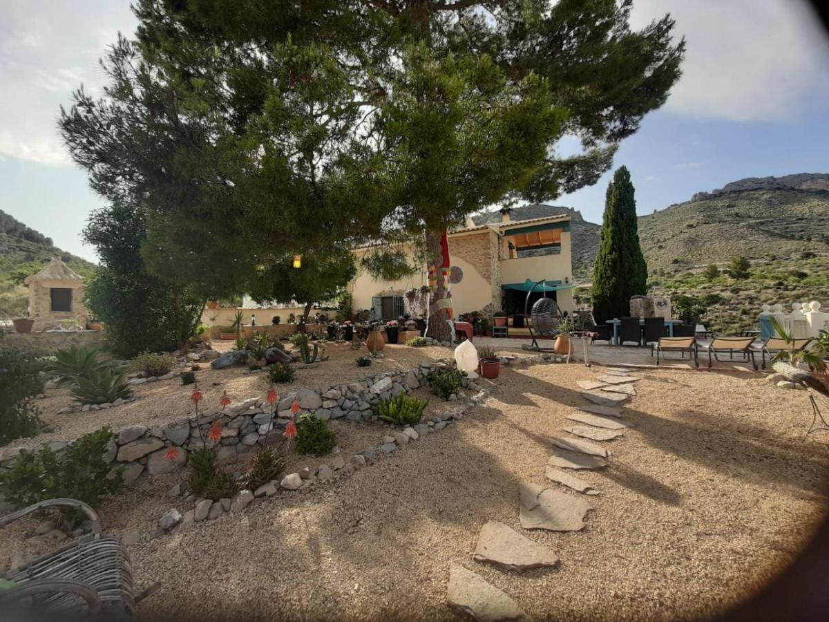 Bed and Breakfast Casa Pura Vida Relleu Екстер'єр фото