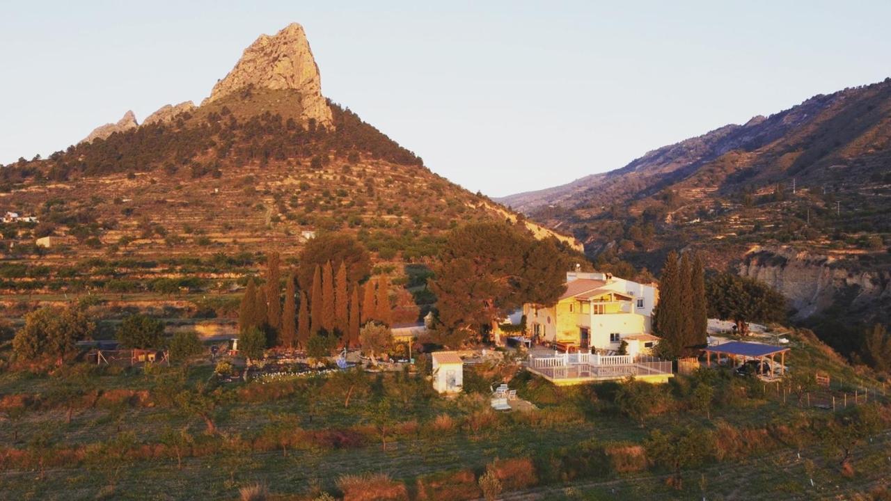 Bed and Breakfast Casa Pura Vida Relleu Екстер'єр фото
