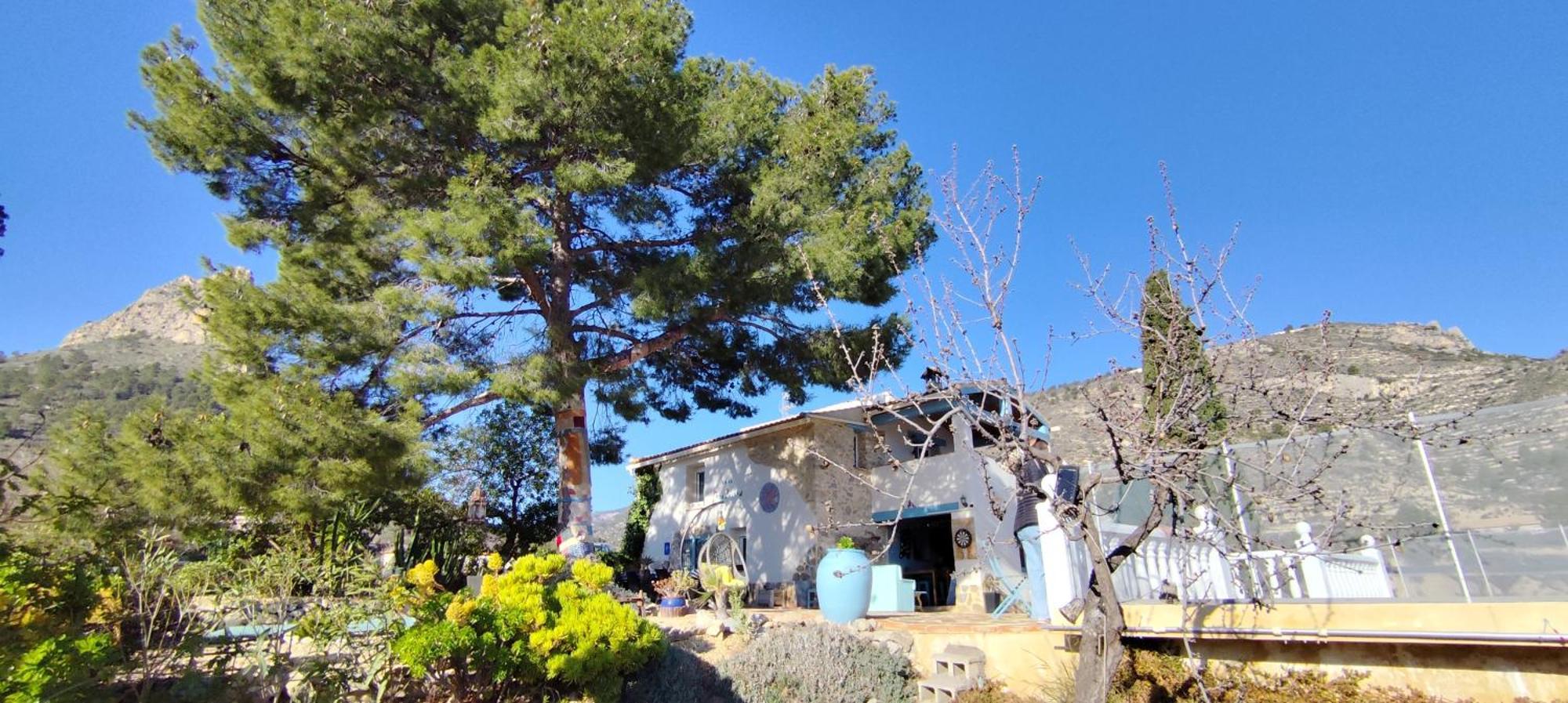 Bed and Breakfast Casa Pura Vida Relleu Екстер'єр фото